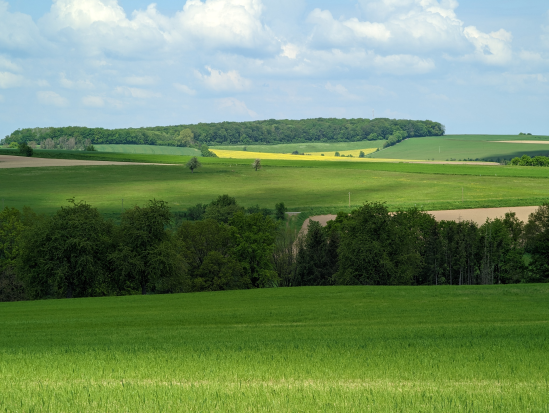 Paradiesgartenweg, Hornbach
13. Mai 2023